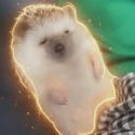 Tsun