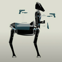 Satyress