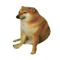 废柴
