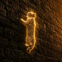 SISYPUSS / SOL