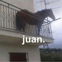 juan