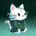 PURR / SOL