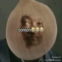 sonion