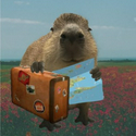 CAPY