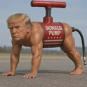 DONALD / DJT