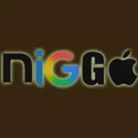 NIGGA / NVDAx