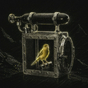 CANARY