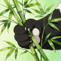 BAMBOO