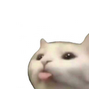 :p