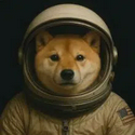 MOONDOGE / SOL