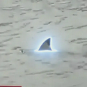 SHARKNADO