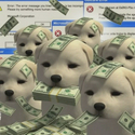 Money / SOL
