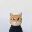 Neko / AAPLx