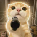 GUNCAT / SOL