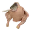 SCF