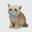 BCASHCAT