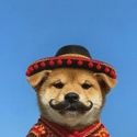 SI