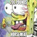 Horse Meat