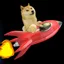 DOGE1