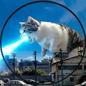 catzilla