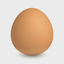 EGGCOIN / Bonk