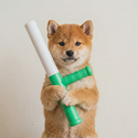 BATON