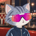 STONKCATS / SOL