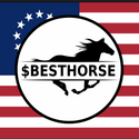 BESTHORSE