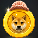 WIFCOIN  / SOL