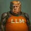 LLM