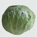 lettuce / DJT
