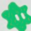 XSCAN / SPCX