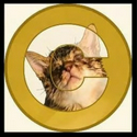 CATE
