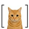 [cat]