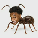 ANTSEM