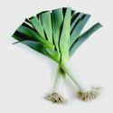 leek