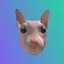BINGUS
