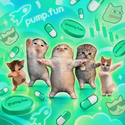 fun / PUMP