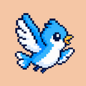 XBIRD / SOL