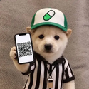 REF