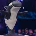 ORCA