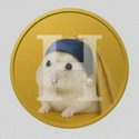Hogecoin