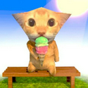Polycat / SOL