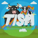 TISM