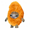Nugget / SOL