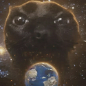 EARTHCAT