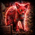 REDCAT / SOL