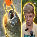 PIRANHABOY