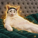 CATE / SOL