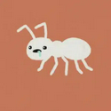 ant / SOL